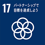 sdg17